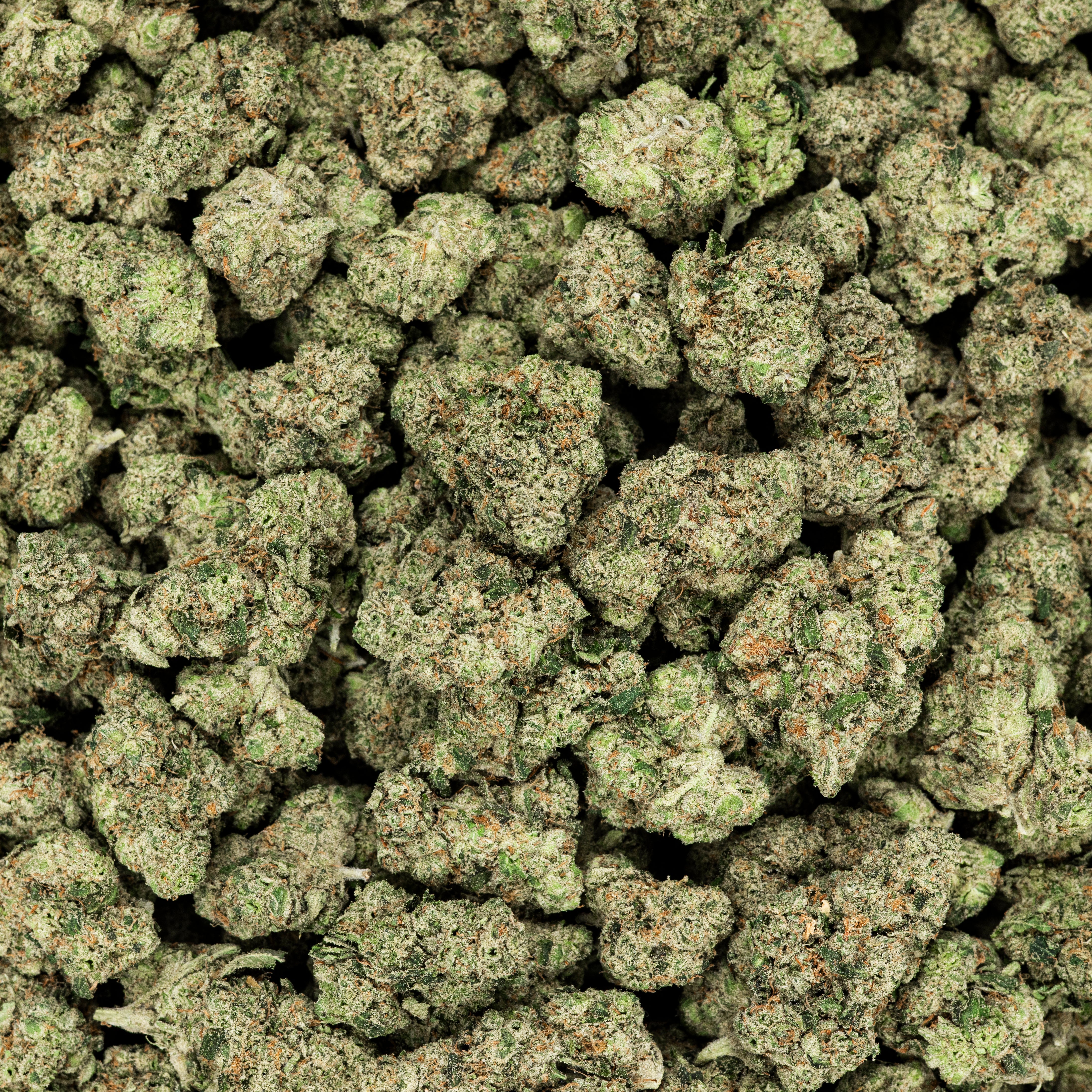 Revelry Citrus Smoothie THCA Flower (AAA Indoor)