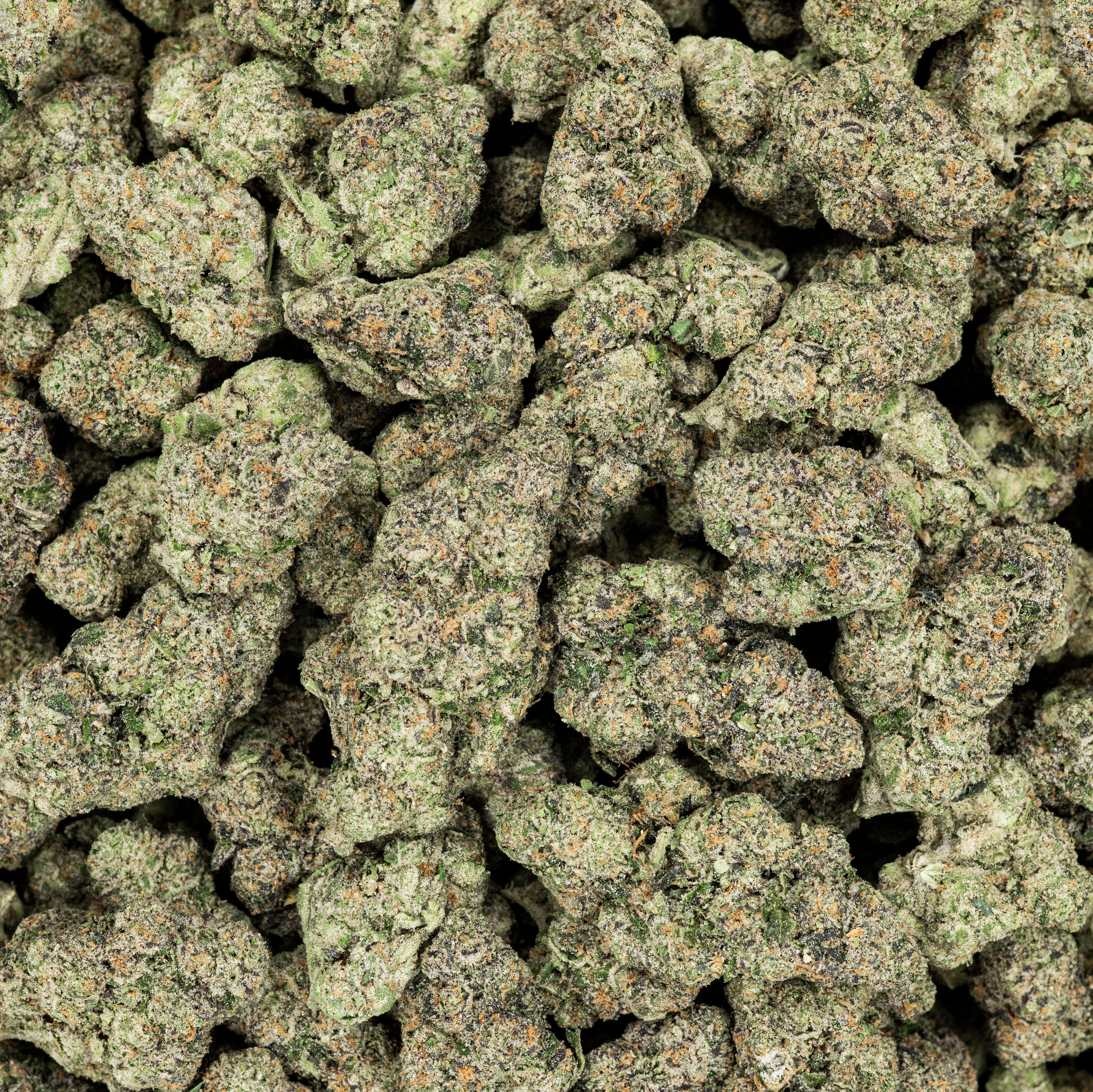 Revelry Pink Guava THCA Pre Rolls 2 Pack