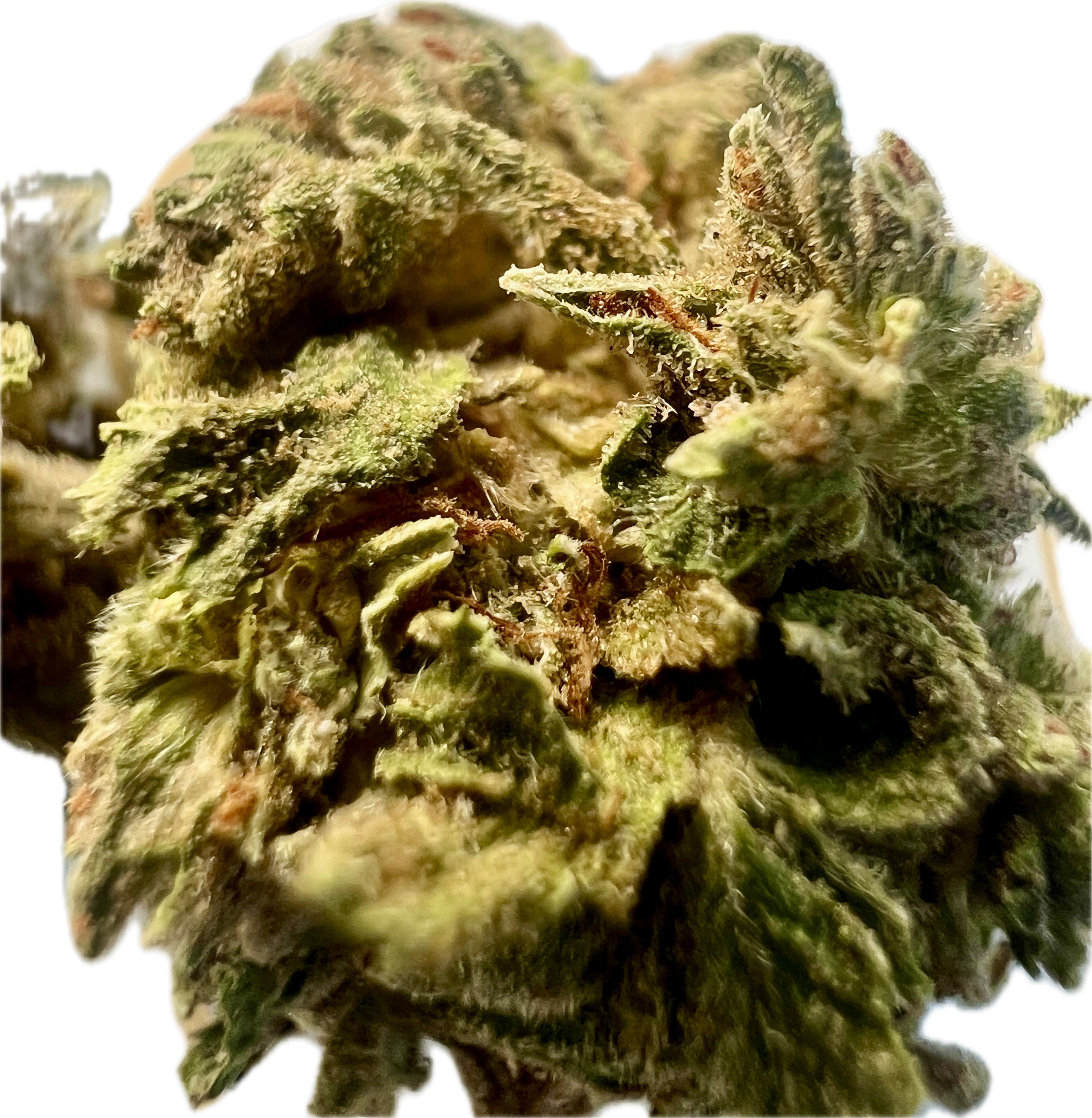Ripkitty Gelato #33 THCA Hemp Flowers