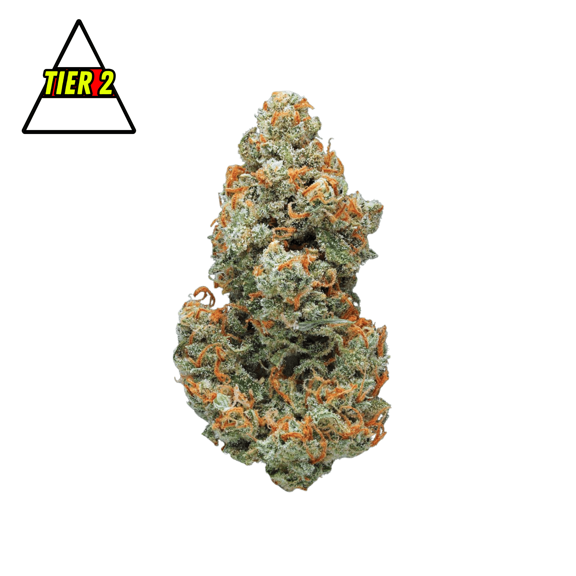 Plugg Drop Reserve Jack Herer THC-A Flower