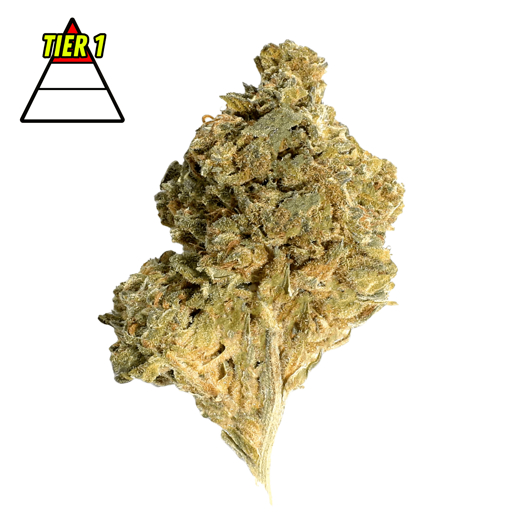 Plugg Drop Reserve Glitter Bomb THC-A Flower