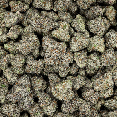 Revelry Premium Indoor THCA Flower | 3.5g