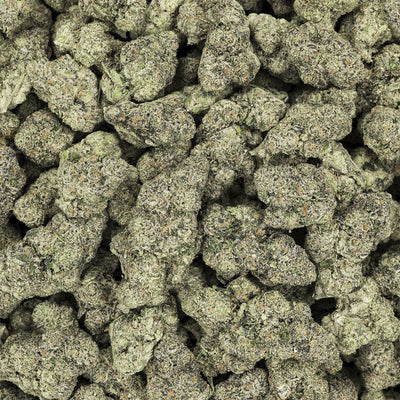 Revelry Premium Indoor THCA Pre-Rolls | 0.5g | 14pc Pack