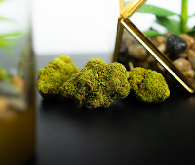 Blue Dream