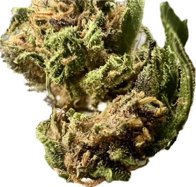 Ripkitty Legendary Platinum OG CBD Hemp Flowers