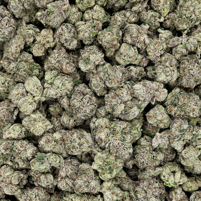 Revelry Frosted Runtz THCA Flower (AAA Indoor)