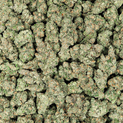 Revelry Premium Indoor THCA Flower | 3.5g