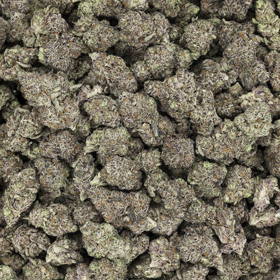 Revelry Premium Indoor THCA Pre-Rolls | 0.5g | 14pc Pack