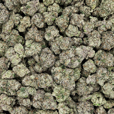 Revelry Premium Indoor THCA Flower | 3.5g