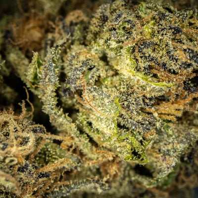 Tangie