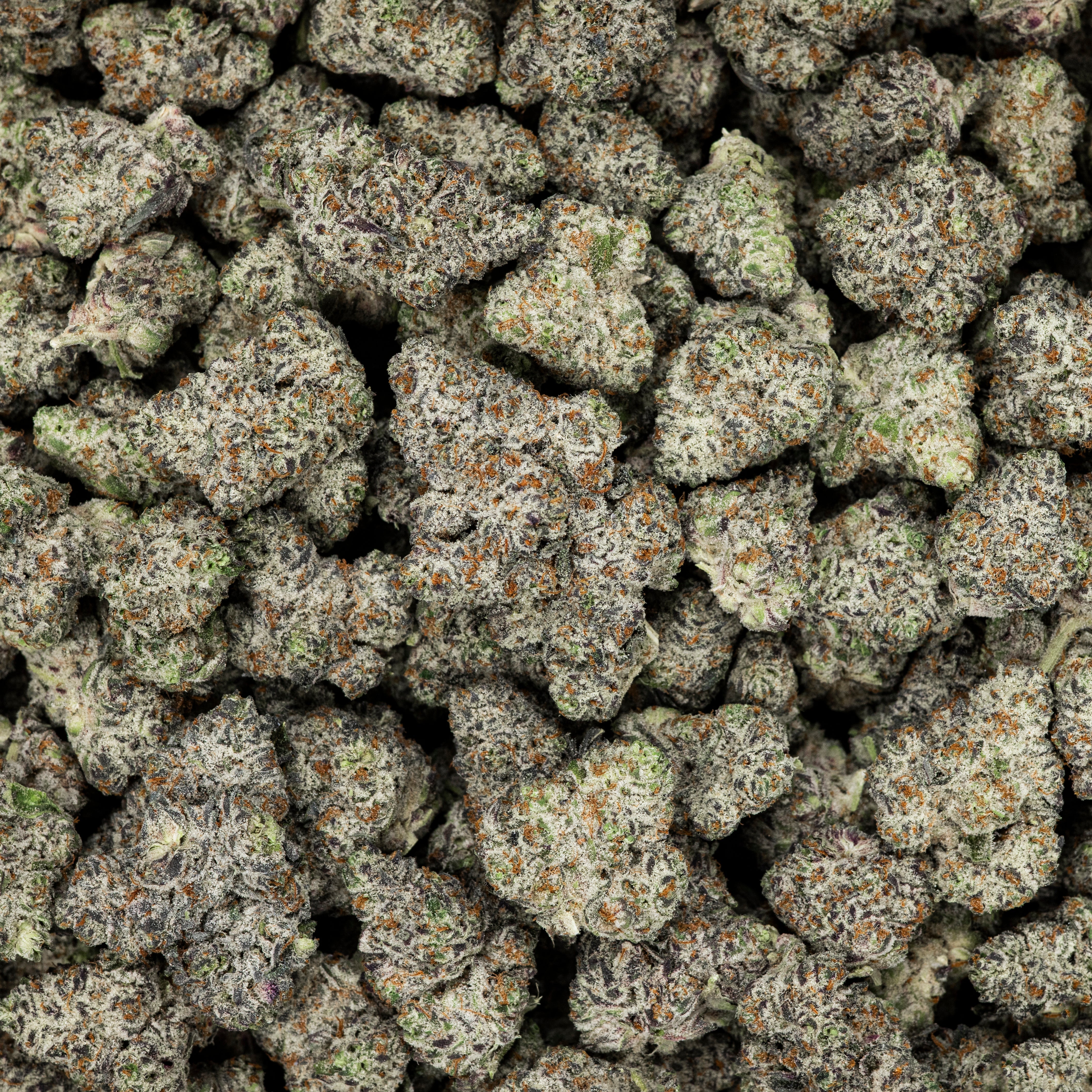Revelry White Truffle THCA Flower (AAA Indoor)