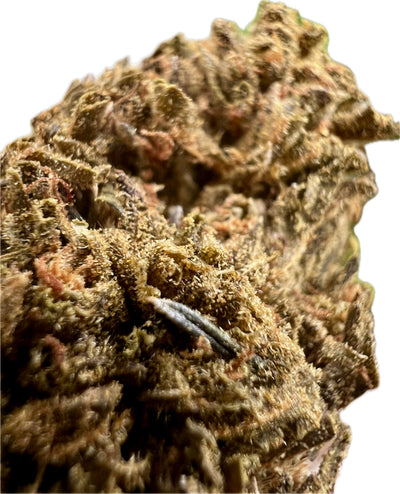 Ripkitty Jungle Driver THCA Hemp Flowers