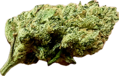 Ripkitty Indoor Big Apple Jack CBD Hemp Flowers