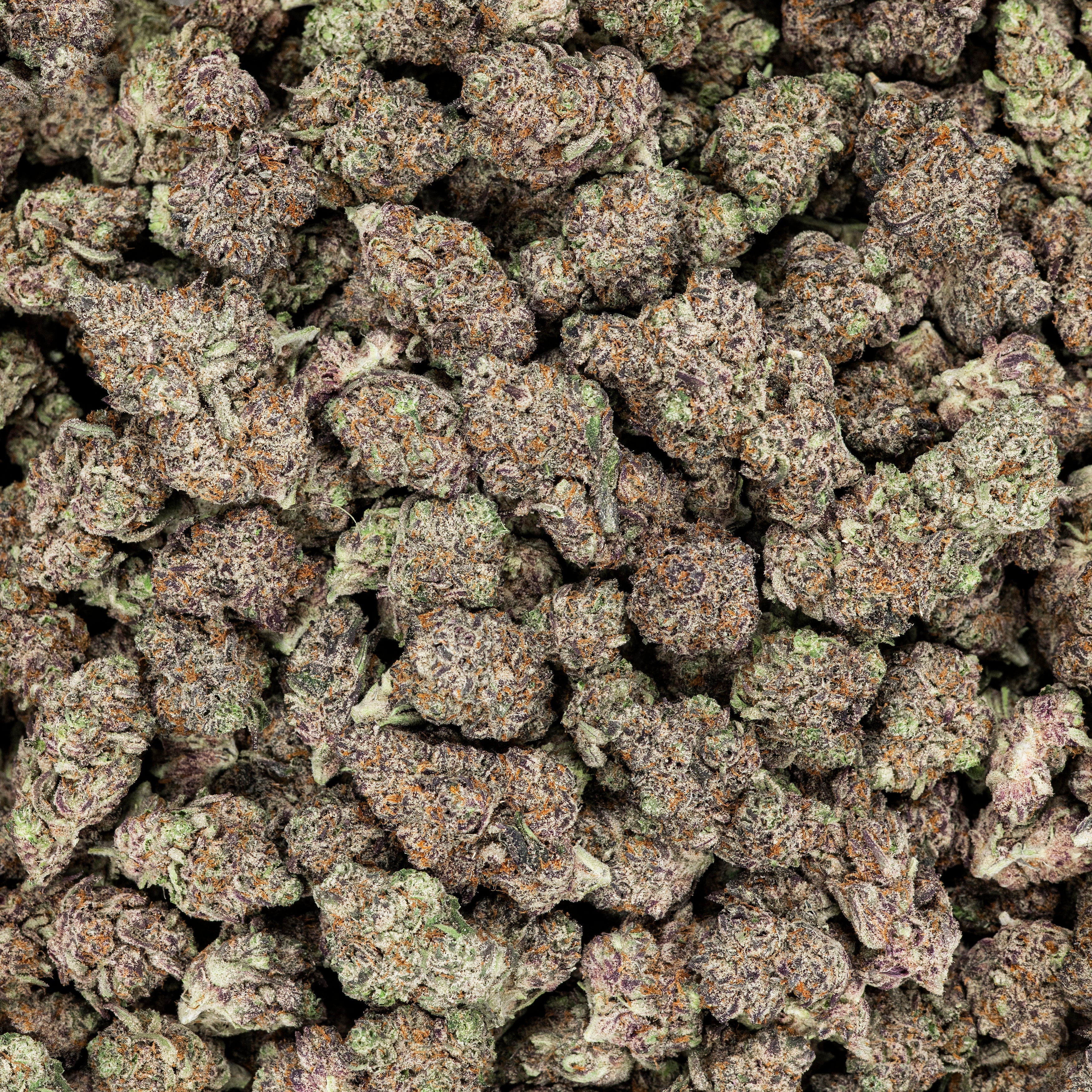 Revelry Devil's Gelato THCA Pre Rolls 7 Pack