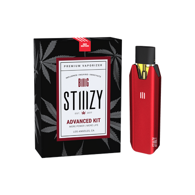 STIIIZY BIIIG Battery