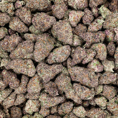 Revelry Premium Indoor THCA Flower | 3.5g