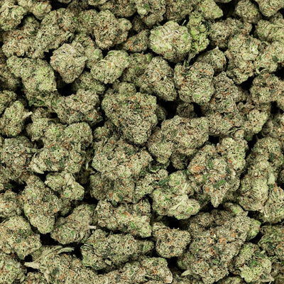 Revelry Premium Indoor THCA Flower | 3.5g