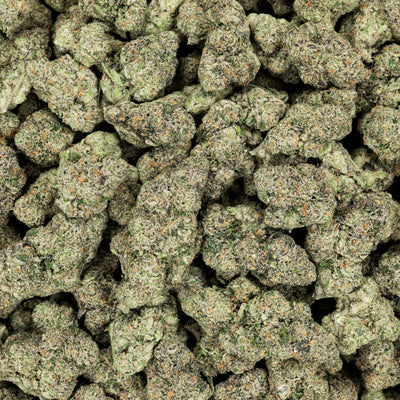 Revelry Pink Guava THCA Flower (AAA Indoor)