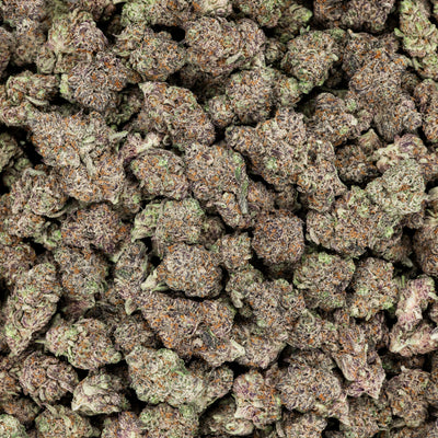 Revelry Devil's Gelato THCA Pre Rolls 2 Pack
