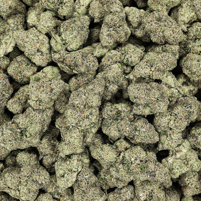 Revelry Premium Indoor THCA Pre-Rolls | 0.5g | 7pc Pack