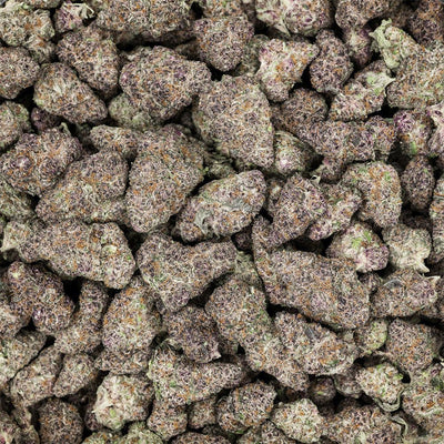 Revelry Premium Indoor THCA Pre-Rolls | 0.5g | 7pc Pack