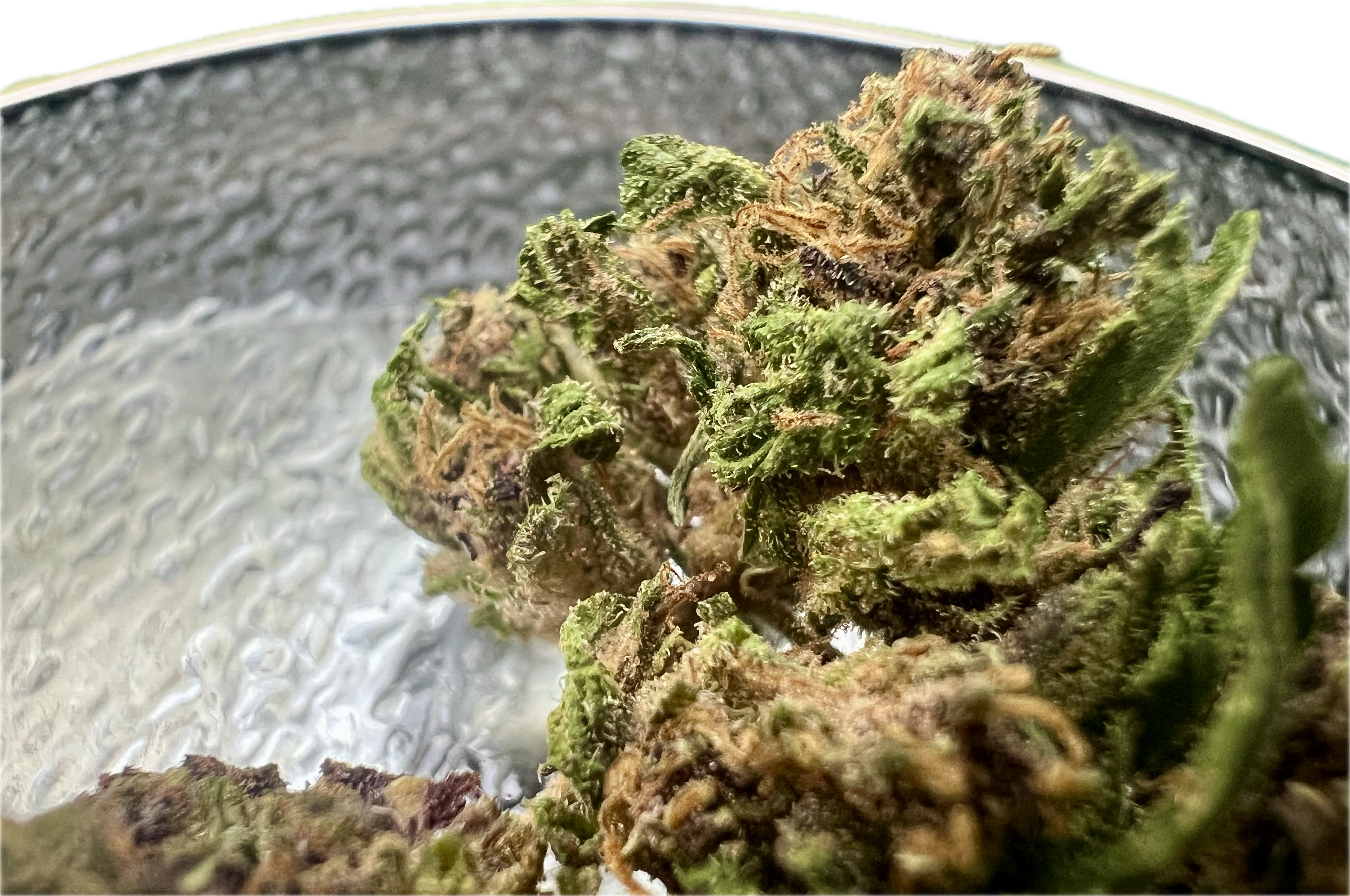 Ripkitty Legendary Platinum OG CBD Hemp Flowers